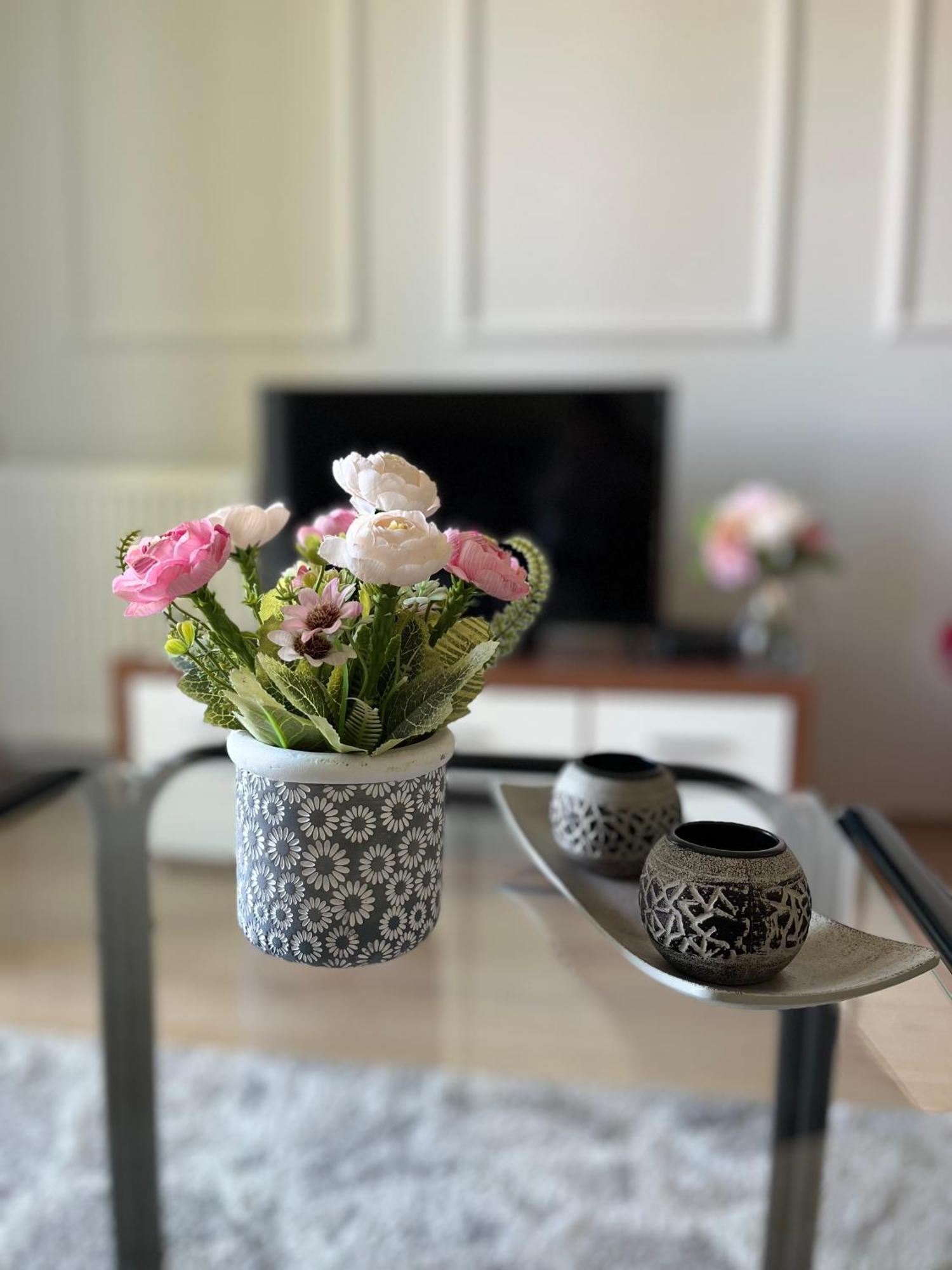 Apartment Vera With Free Garage 诺威萨 外观 照片